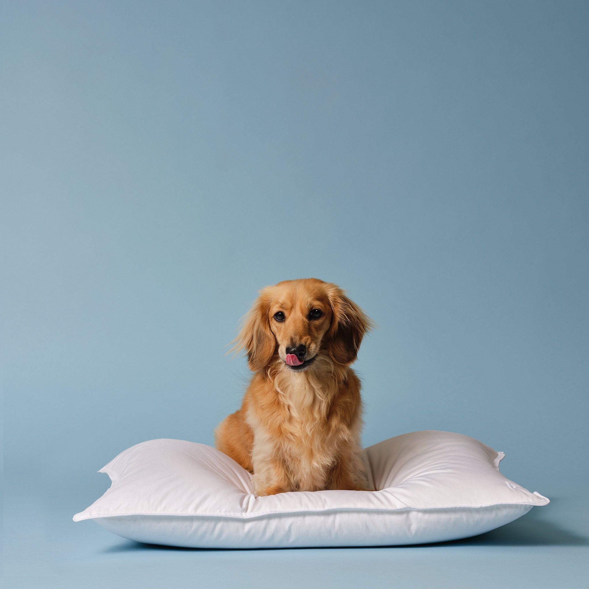 Down Pillow Q9
